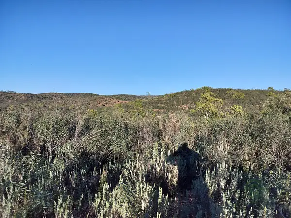 Finca rústica de 19,21 ha en venta en Huelva