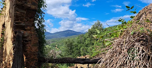 Finca rústica de 1,4842 ha en venta en Barcelona