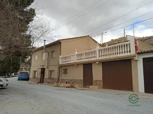 Spot image
