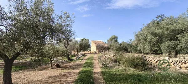 Spot image