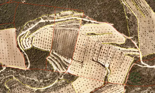 Spot image