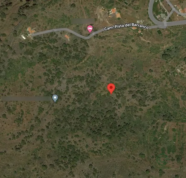 Spot image