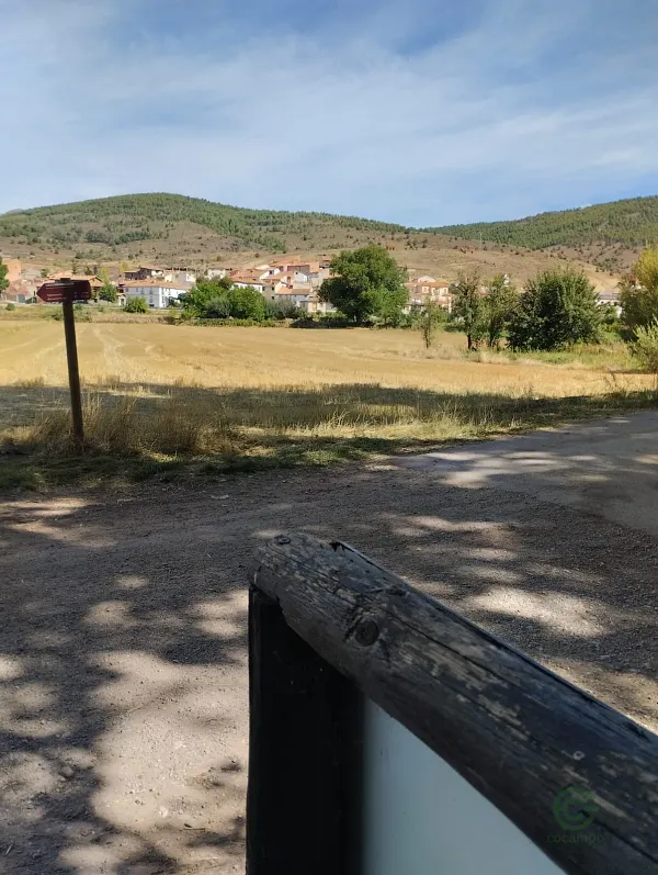 Spot image