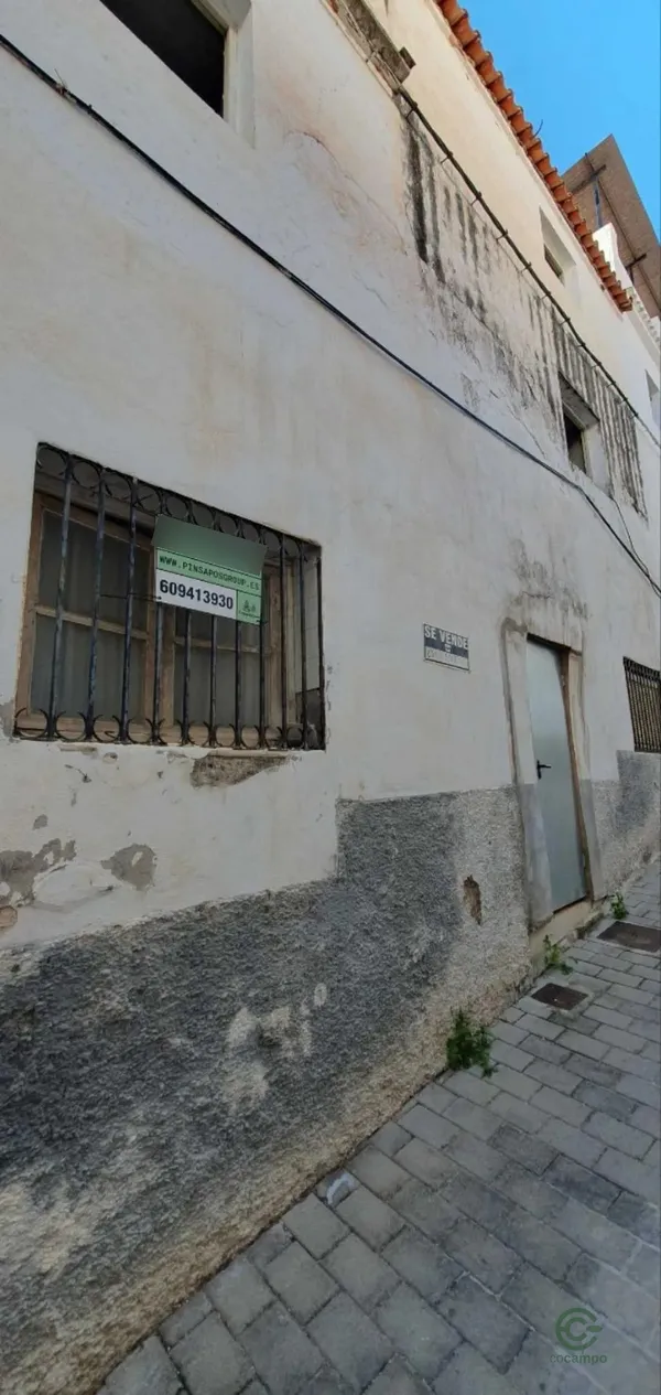 Spot image