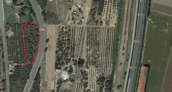 Spot image