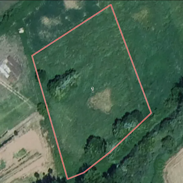 Spot image
