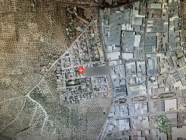 Spot image