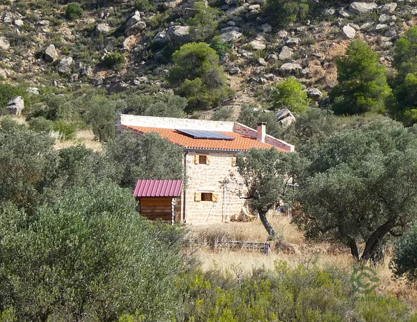 Spot image
