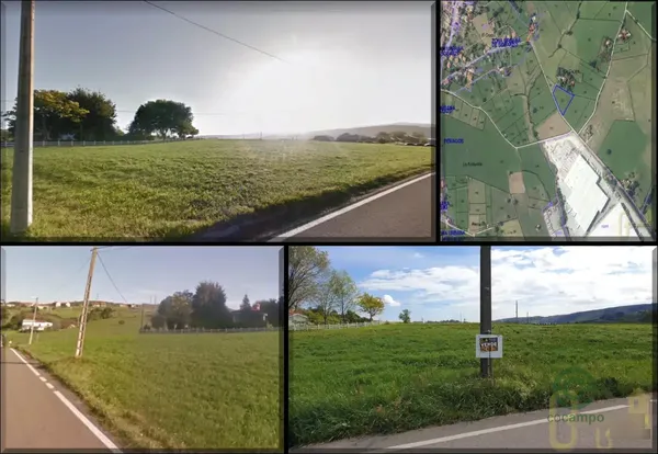 Spot image