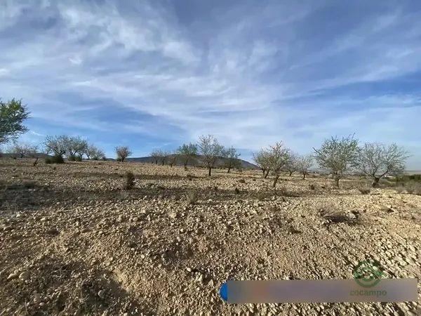 Spot image