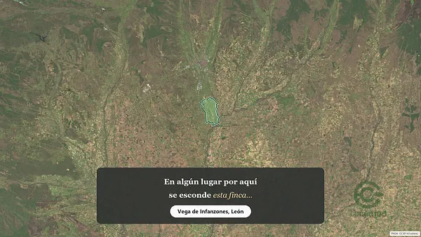 Spot image