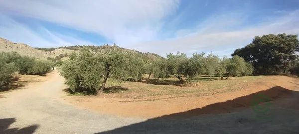 Spot image