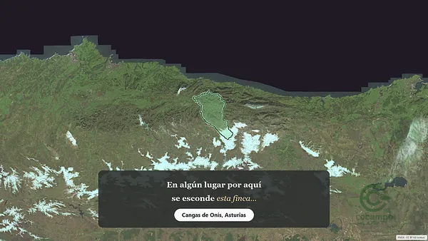 Spot image