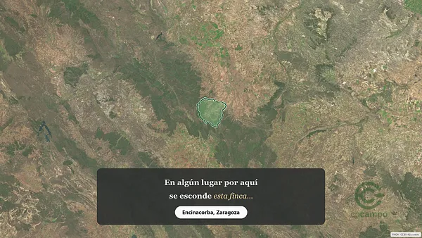 Spot image