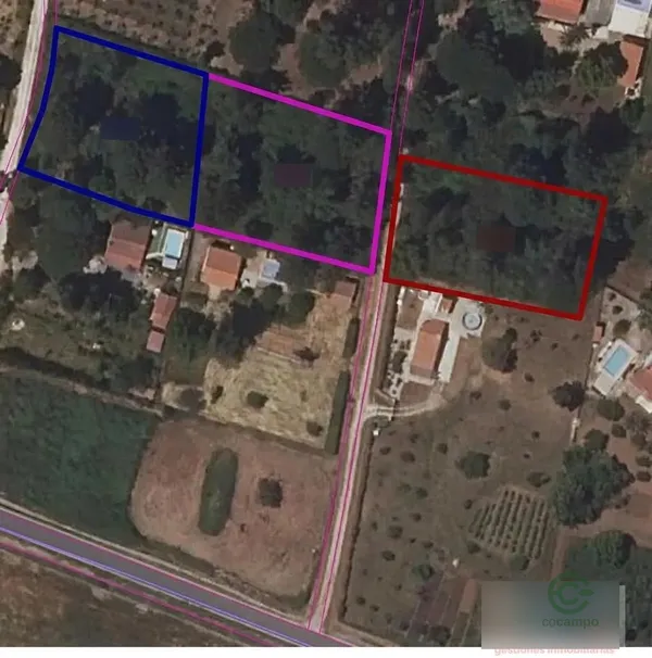 Spot image