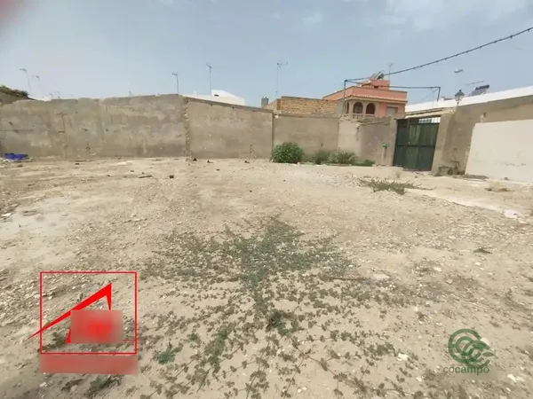 Spot image