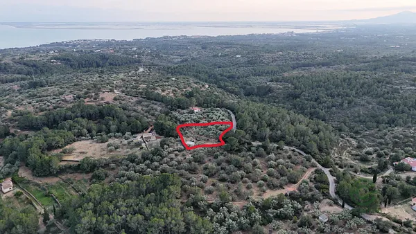 Spot image