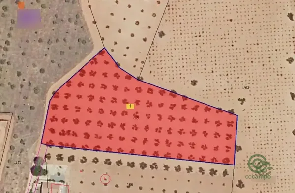 Spot image