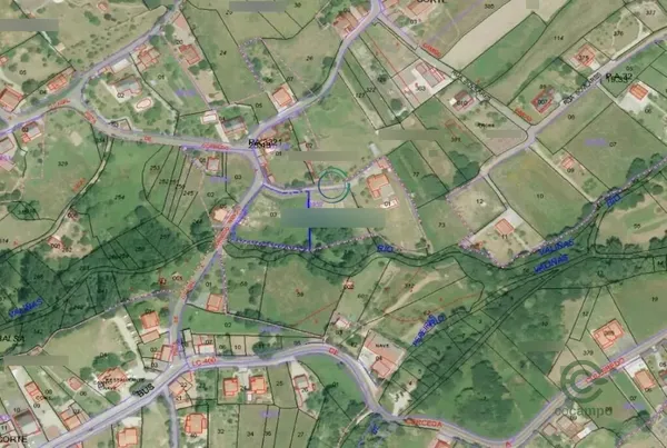 Spot image