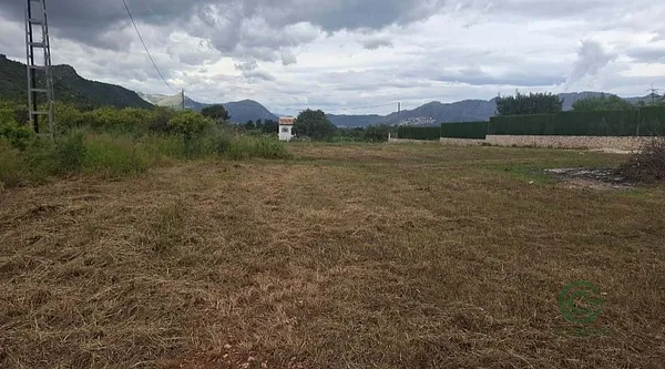 Spot image