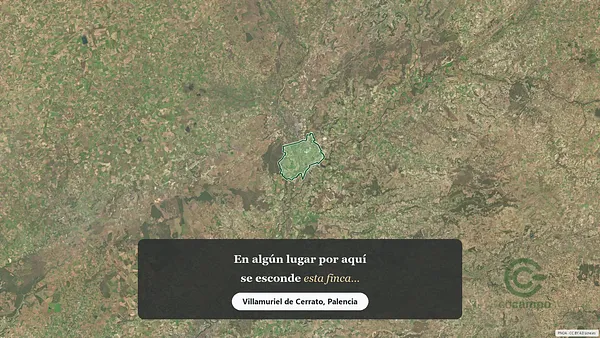 Spot image