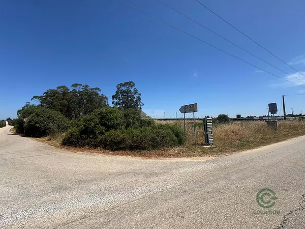 Spot image