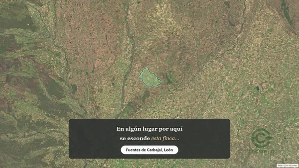 Spot image