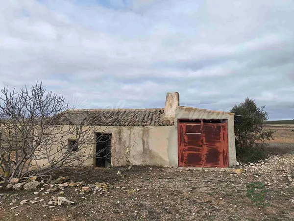 Spot image