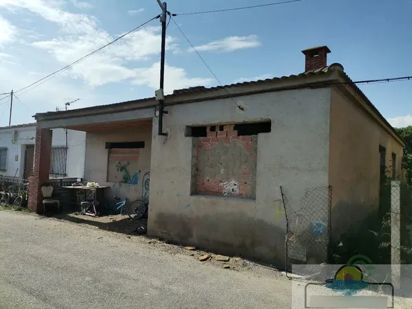 Spot image
