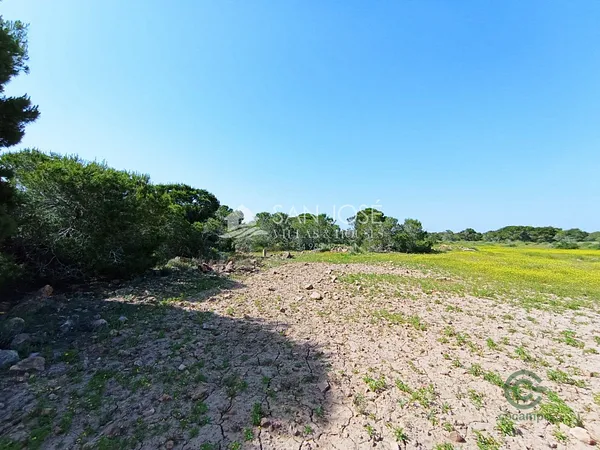 Finca agrícola de 1,5 ha en venta en Elche pedanias, Alicante