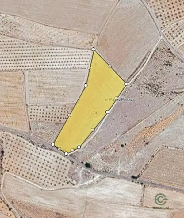 Spot image