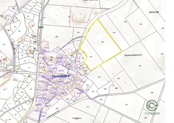 Spot image