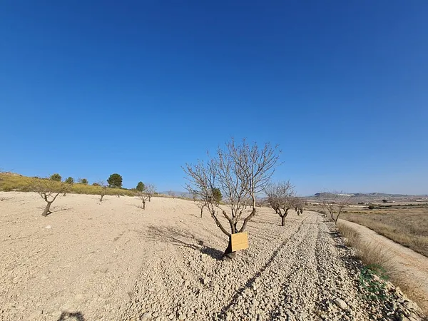 Terreno urbano de 1,4877 ha en venta en Abanilla, Murcia