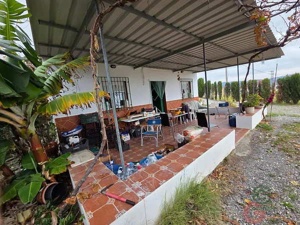 Spot image