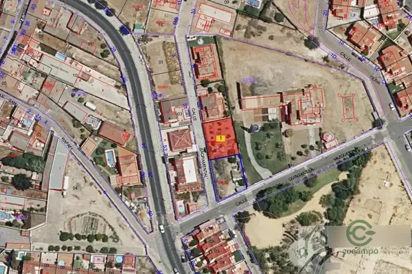 Spot image