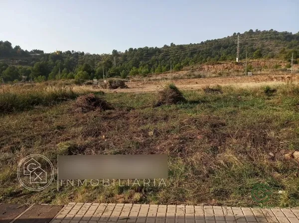 Spot image