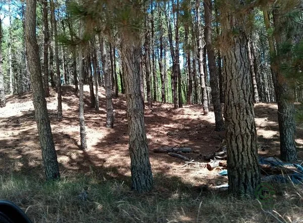Finca rústica de 0,09 ha en venta en Buenos aires