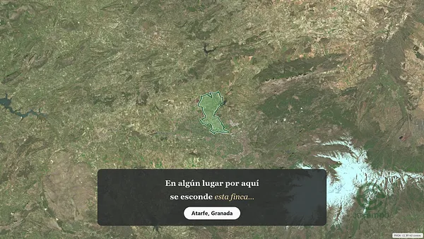 Spot image