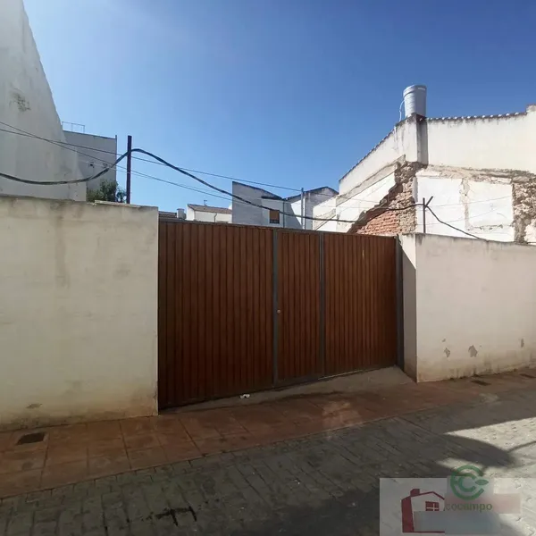 Spot image