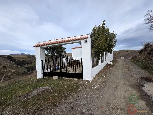 Spot image