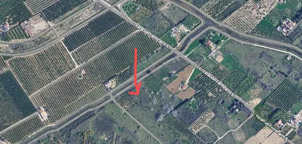 Spot image