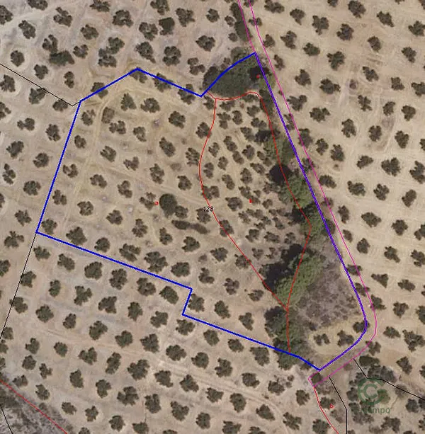 Finca rústica de 0,58 ha en venta en Villacarrillo, Jaén