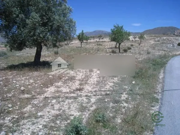 Spot image