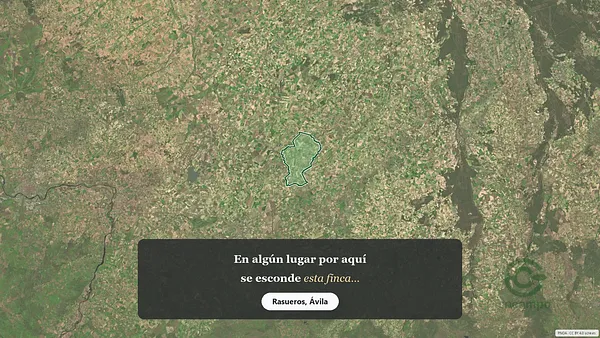 Spot image