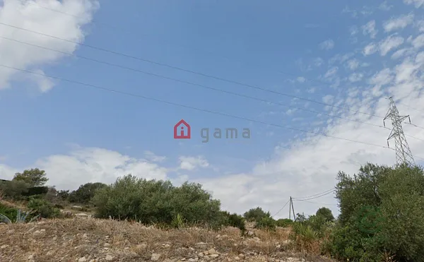 Spot image