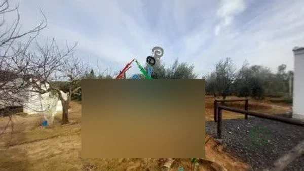 Spot image