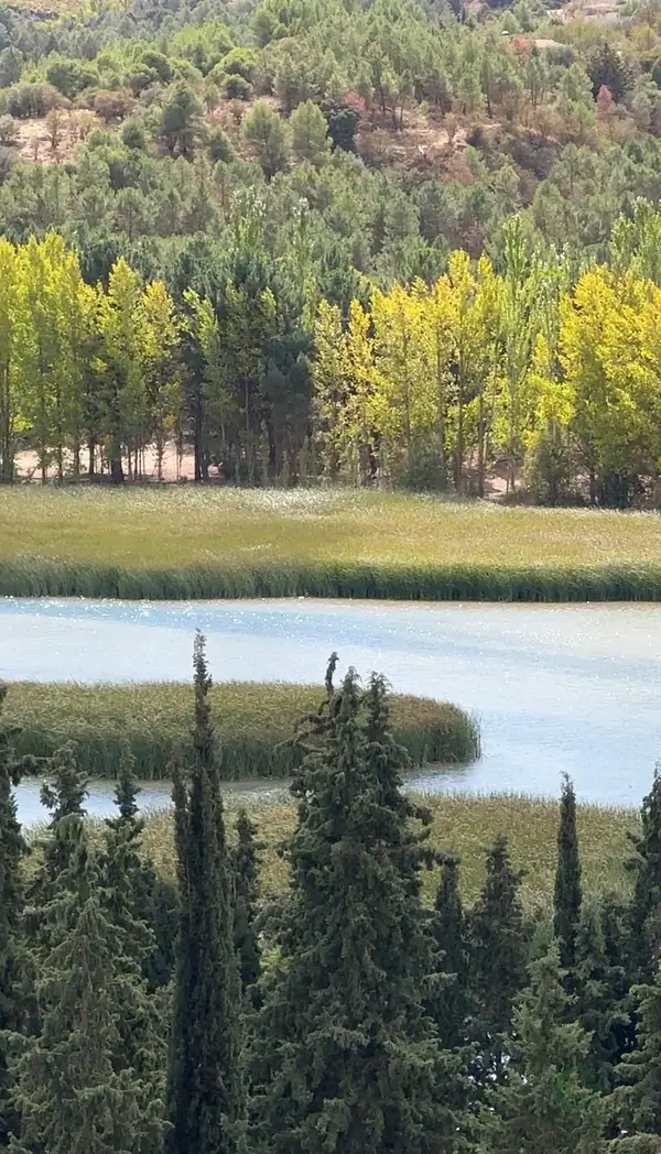 Finca rústica de 136,38 ha en venta en Granada