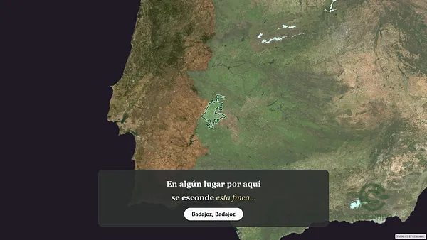 Spot image