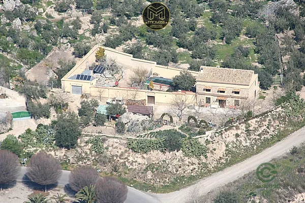 Spot image