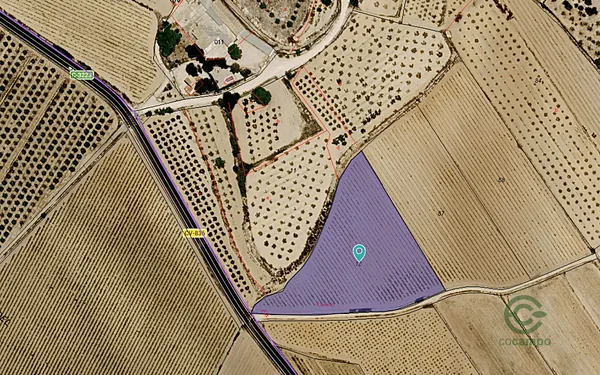 Spot image
